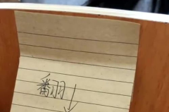 小姐姐词意,温馨回忆与美好瞬间